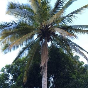 Meet your Posher, Tiya